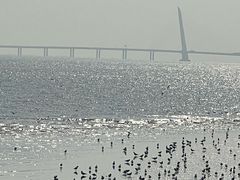 -深圳湾公园(南山区)