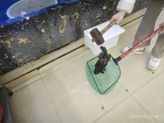 -鑫鸿达·海鲜闽菜热炒小馆(中山路店)
