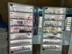 -天津大学爱尔眼科医院(天津院区)