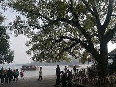 -西湖外事游船(花港观鱼码头)