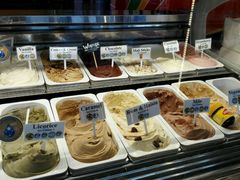 -Dooley's Premium Ice Cream