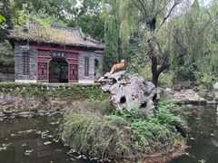 -淄博聊斋城景区