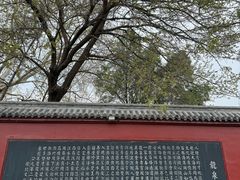 -百脉泉景区