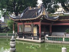 -碧江金楼