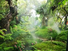 -Chom Cafe and Restaurant