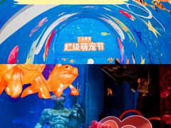 -正佳极地海洋世界