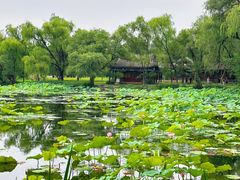 -承德避暑山庄景区