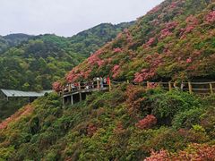 -木兰云雾山