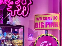 -BIG PINK大粉娃娃机主题馆(圆融星座店)