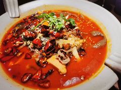 金牌毛血旺-辛香汇·现炒川菜(淮海路百盛店)