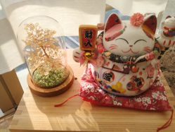 -JNK皮肤管理中心