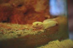 -酷嗒动物文化乐园(cutezoo西溪乐天城店)