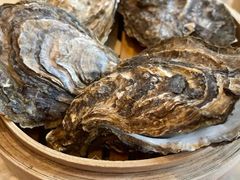 -杨氏青龙虾·羊蝎子(珠江路店)