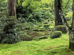 -三千院