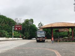 -海南槟榔谷黎苗文化旅游区