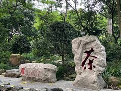 -金花茶公园