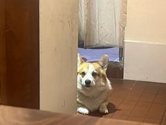 -肥朵食堂(带梦胡同店)