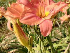 -汉长安城未央宫国家考古遗址公园