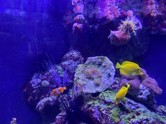 -成都浩海立方海洋公园