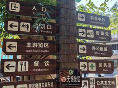 -西双版纳原始森林公园