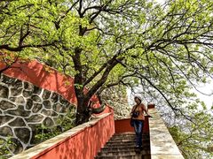 -圣莲山风景区