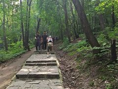 -帽儿山风景区