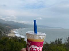 -南澳岛打卡果汁冰公司