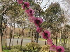 -尚贤河湿地