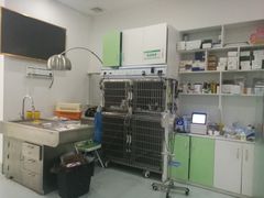 -汪喵宠物医院·骨科心脏影像·犬猫急重症ICU诊疗中心(成华分院)