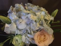 -西安赛瑞喜来登大酒店