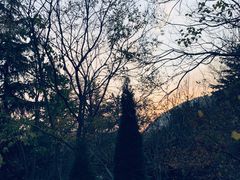 -青岛崂山太清宫