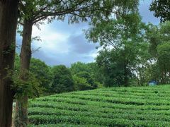 -敬亭山风景名胜区