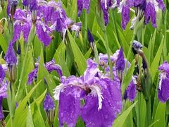 -汉长安城未央宫国家考古遗址公园