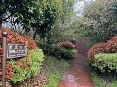 -嬉乐湾休闲旅游区