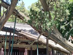 -晋祠博物馆