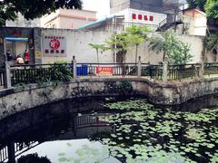 -龙桥私厨·姜花菊花过桥鱼·顺德菜(容桂店)