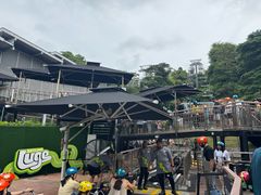 -圣淘沙天际线斜坡滑车