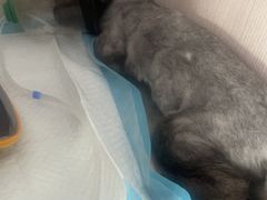 -惠康宠物医院(华能路店)