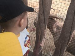 -石家庄市动物园