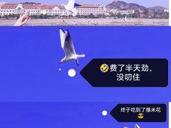 -栈桥景区