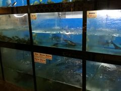 点鱼的地方-味当家鱼头火锅.•甲鱼料理(金沙店)