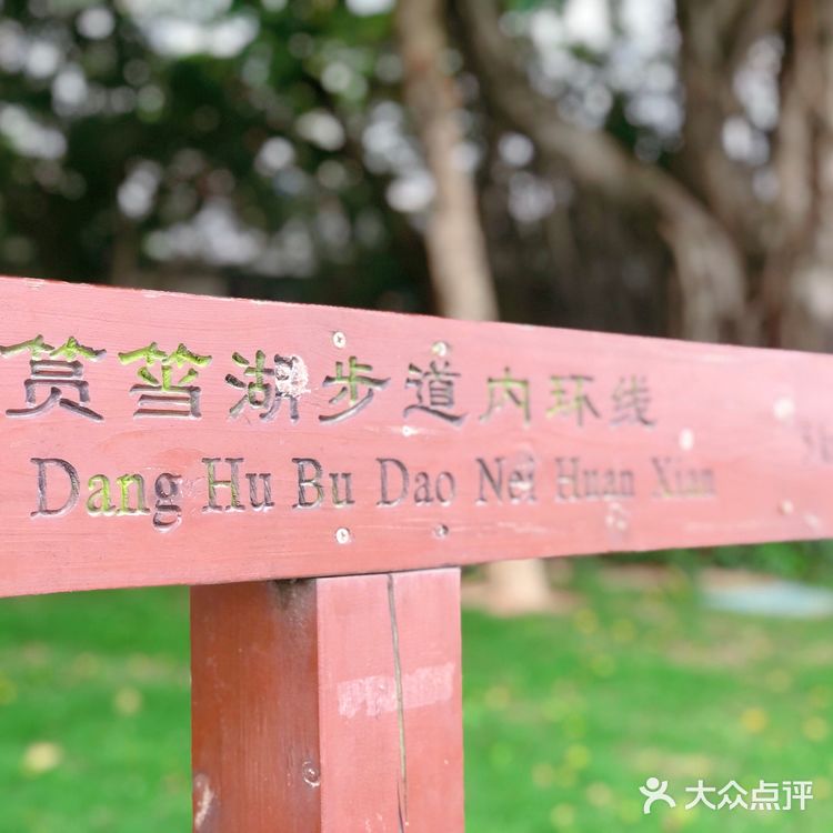 今日份的白鹭洲