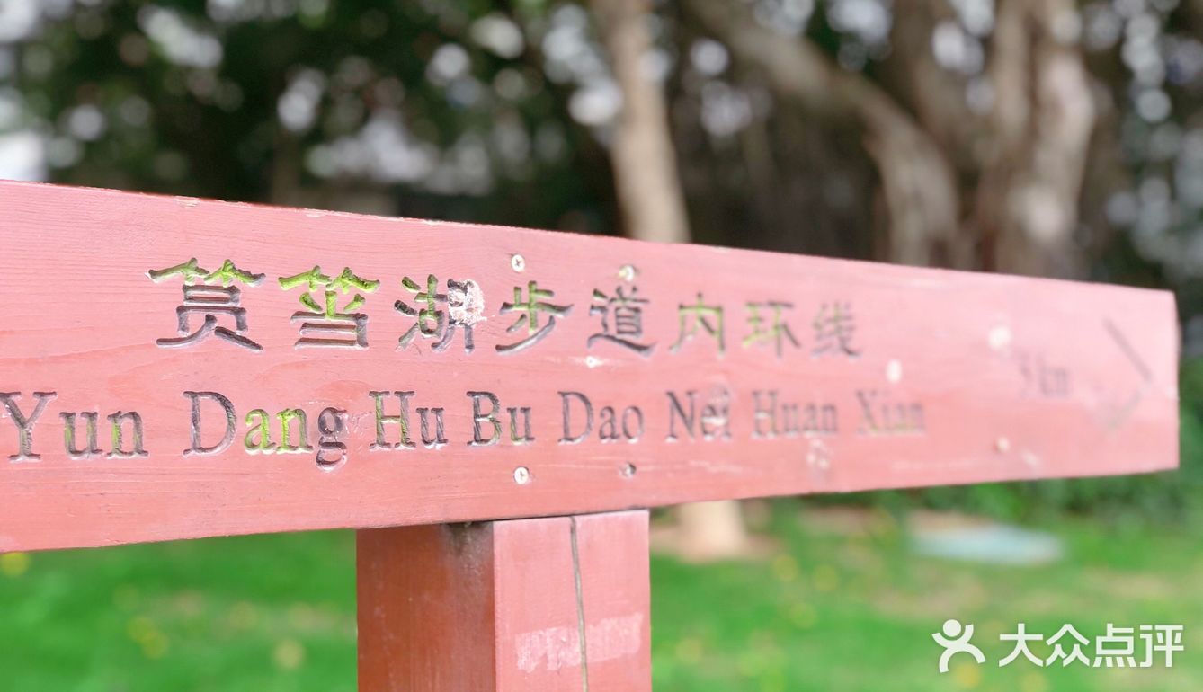 今日份的白鹭洲
