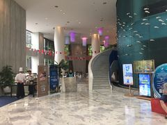 -深圳东部华侨城瀑布酒店