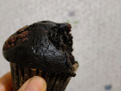 -多乐之日(公益西桥店)