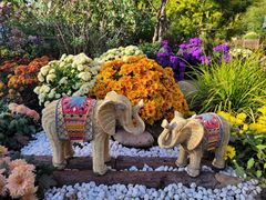 -上海共青森林公园