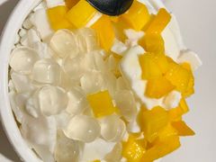 -豪叔椰冰(青春颂店)