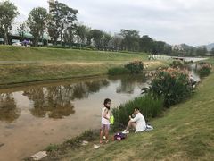 -光明小镇欢乐田园