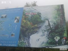 -东天目山风景区