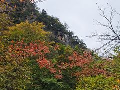 -青峰峡国家森林公园